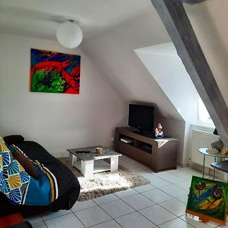 Appartement Spacieux A Ingersheim Avec Vue Sur Jardin 100 M² Esterno foto