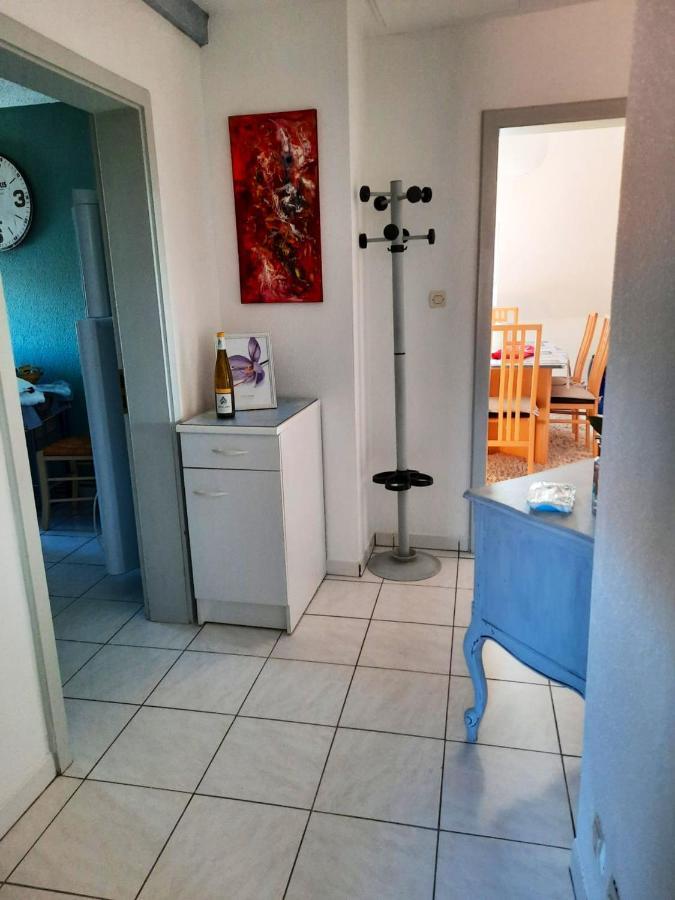 Appartement Spacieux A Ingersheim Avec Vue Sur Jardin 100 M² Esterno foto