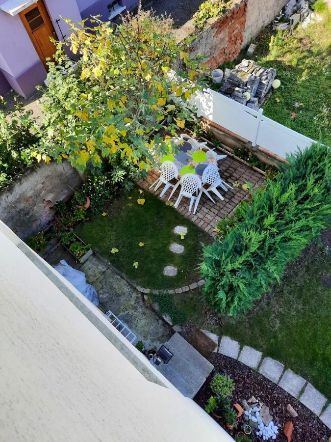 Appartement Spacieux A Ingersheim Avec Vue Sur Jardin 100 M² Esterno foto